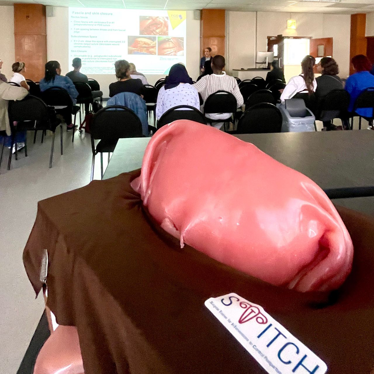 STITCH hosts workshop at FIGO2025