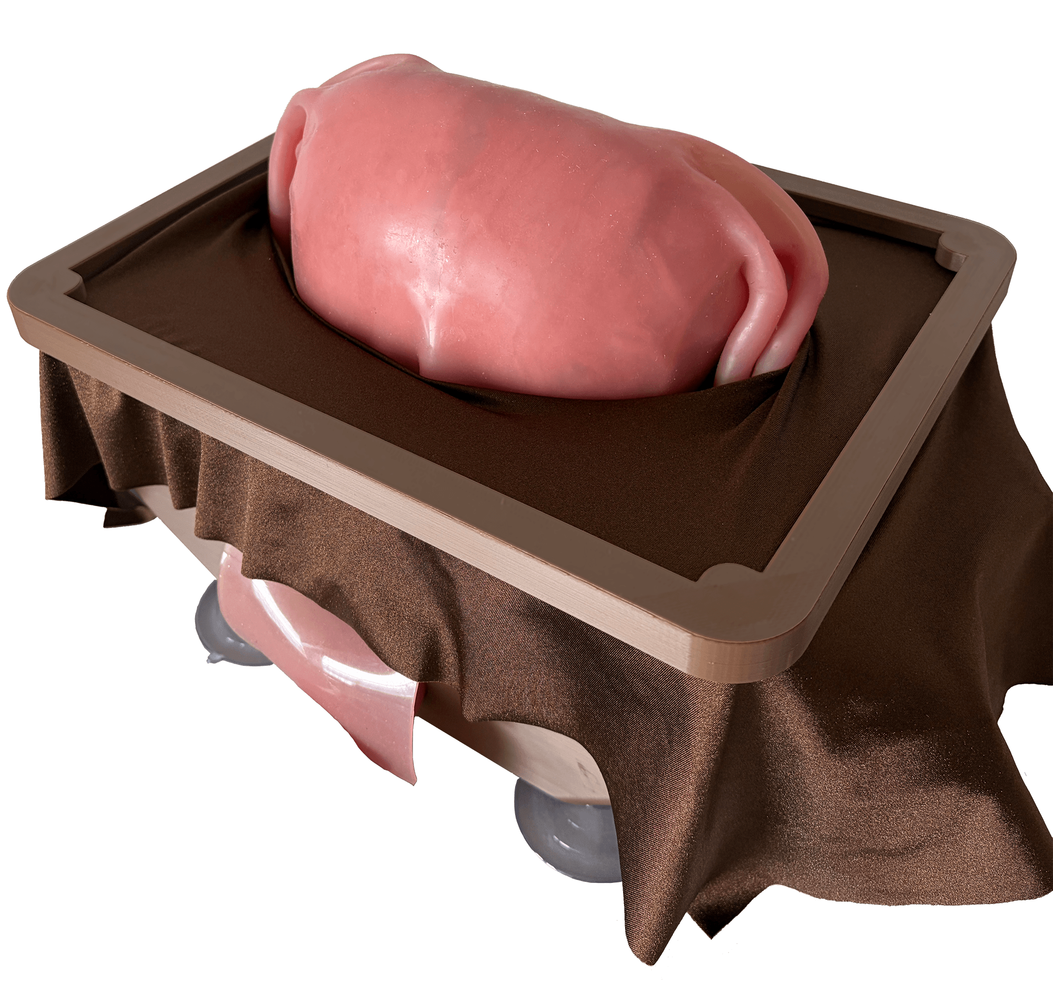 model-image