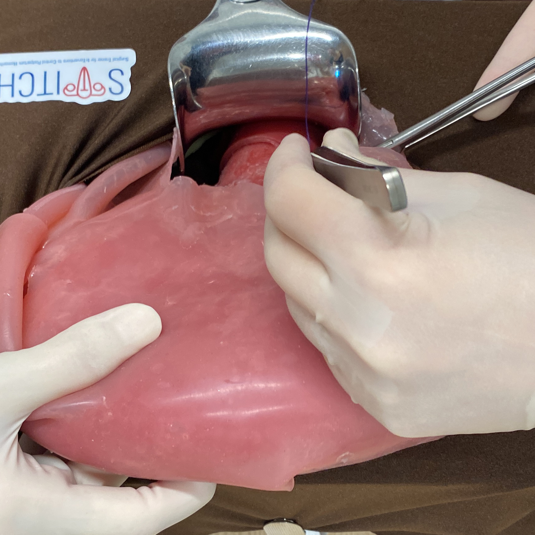 Assembly manual and video tutorials